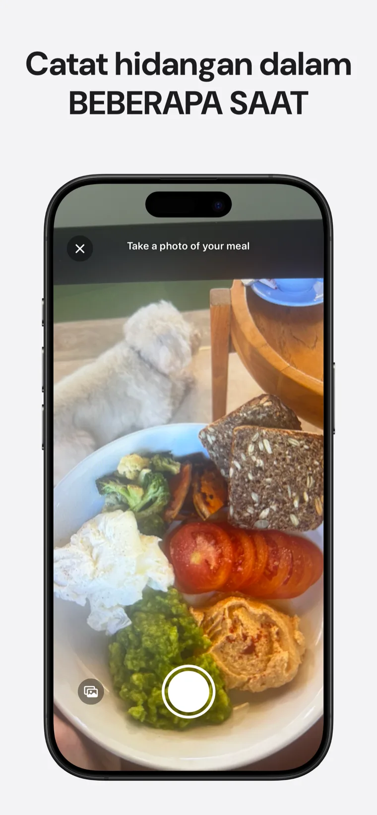 Catat hidangan dalam BEBERAPA SAAT — Protein Tracker dengan pangkalan data makanan yang boleh dicari untuk menambah apa yang anda makan dengan pantas